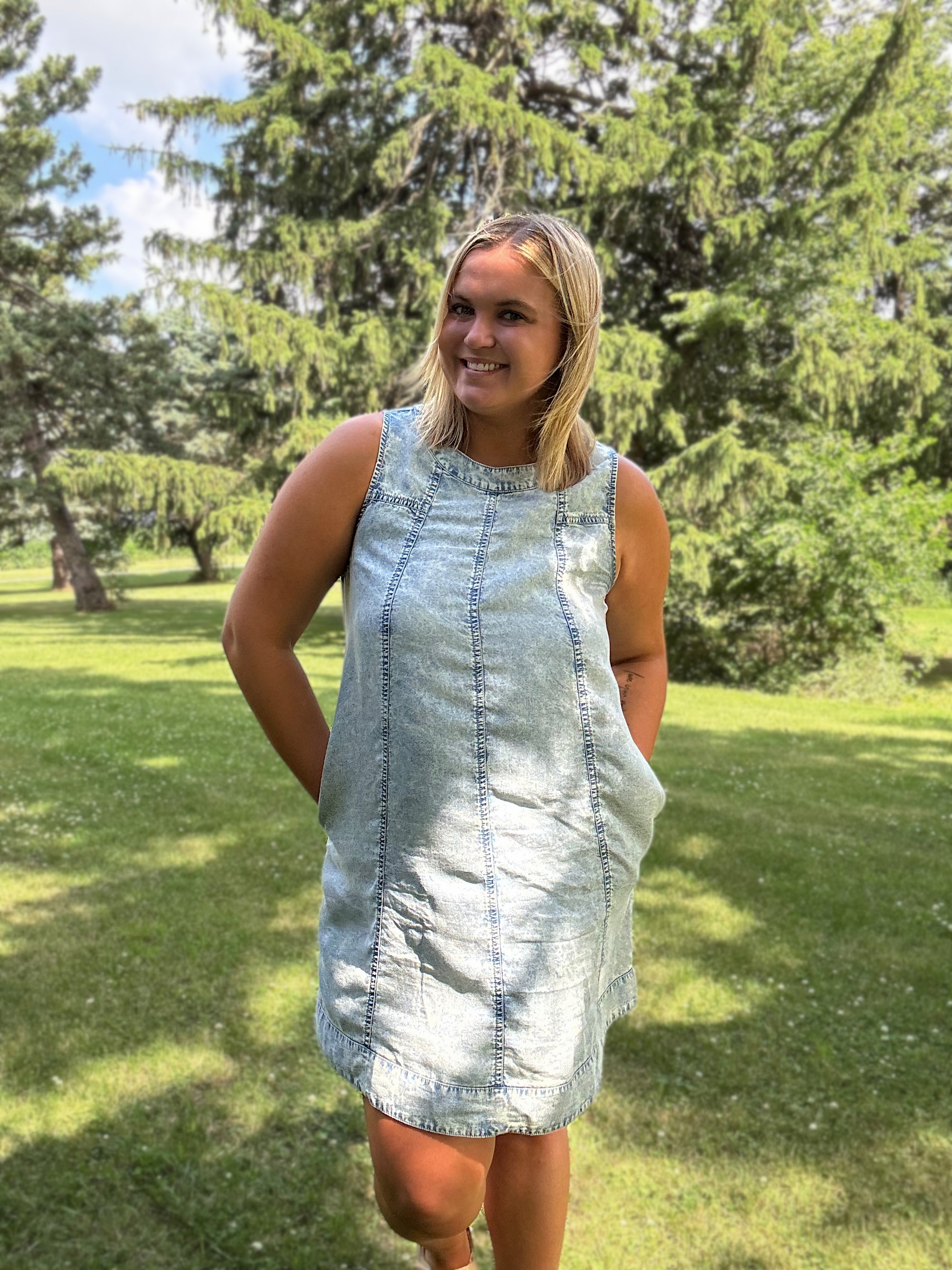 Chambray Charm Dress