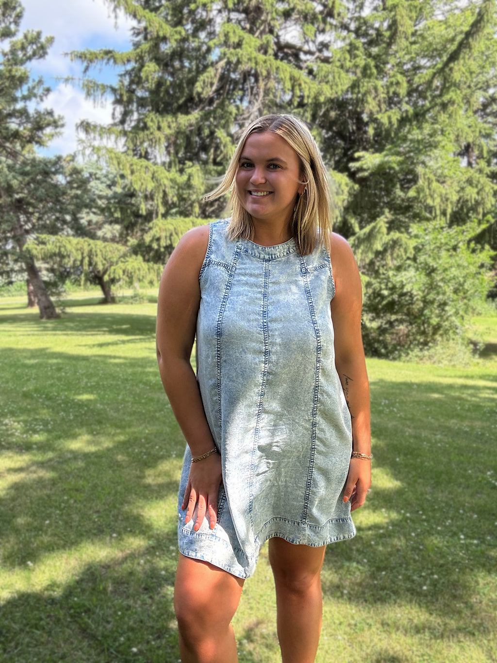 Chambray Charm Dress