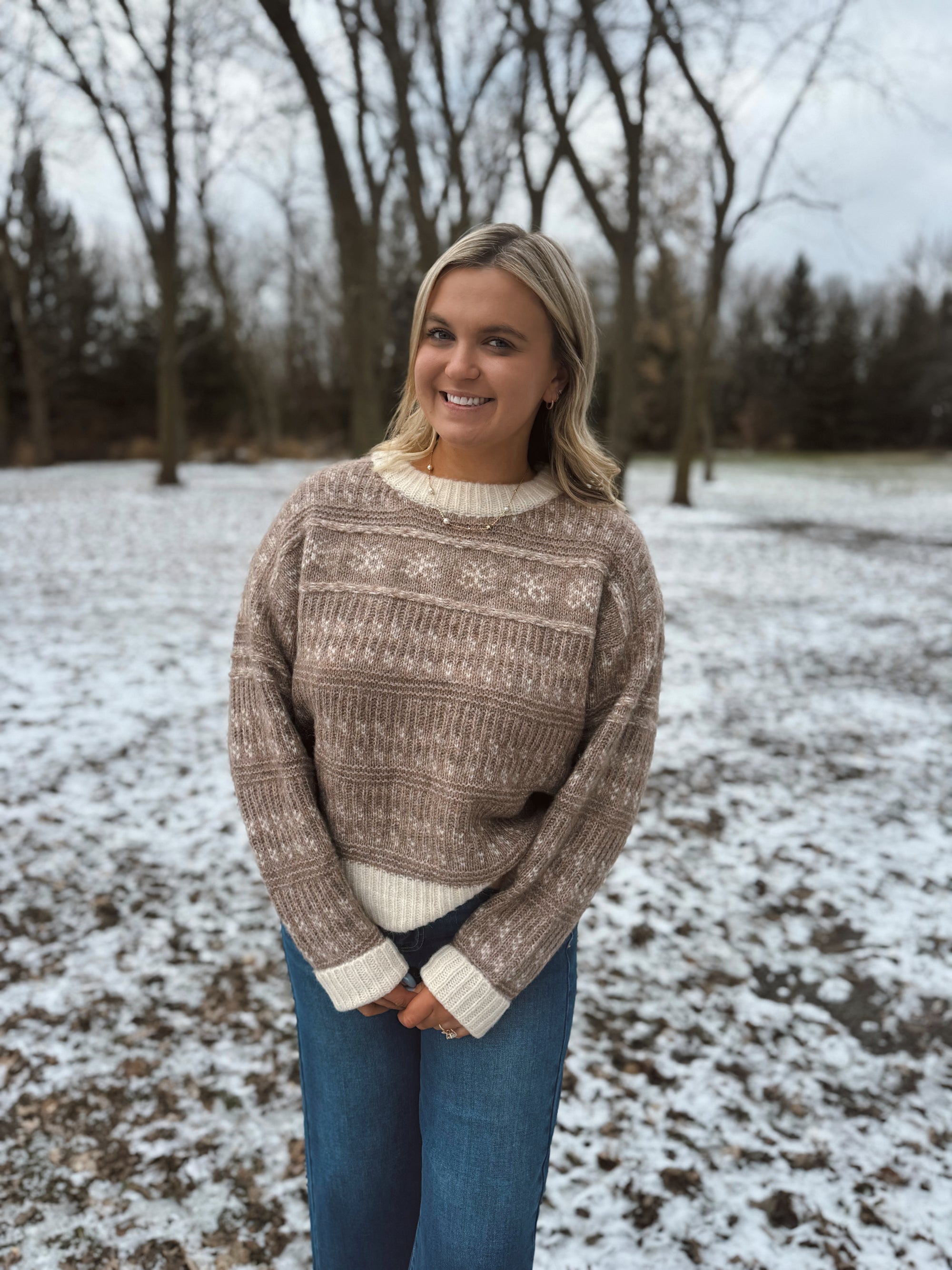 Frosted Taupe Fair Isle Knit Sweater
