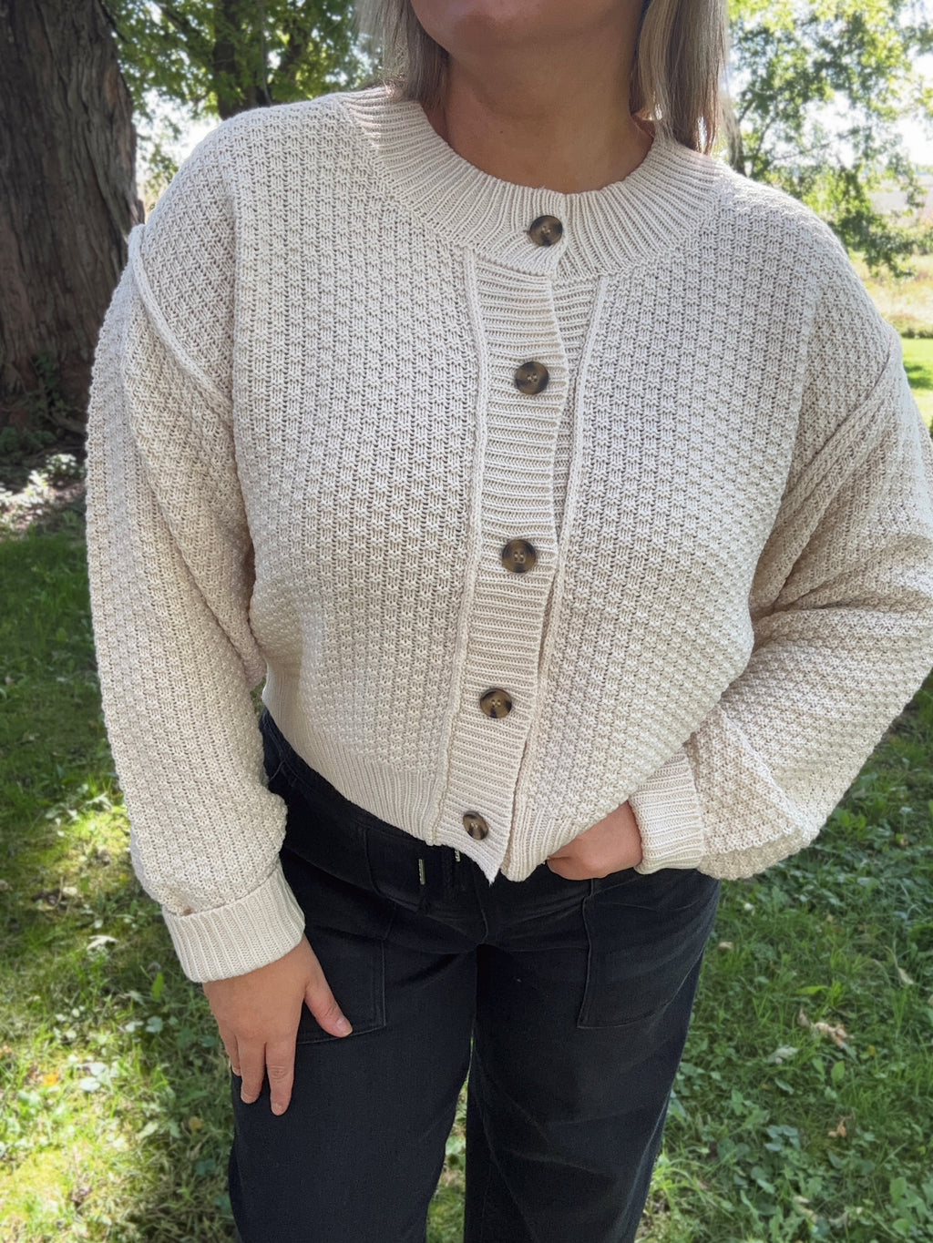 Sweet Cream Knit