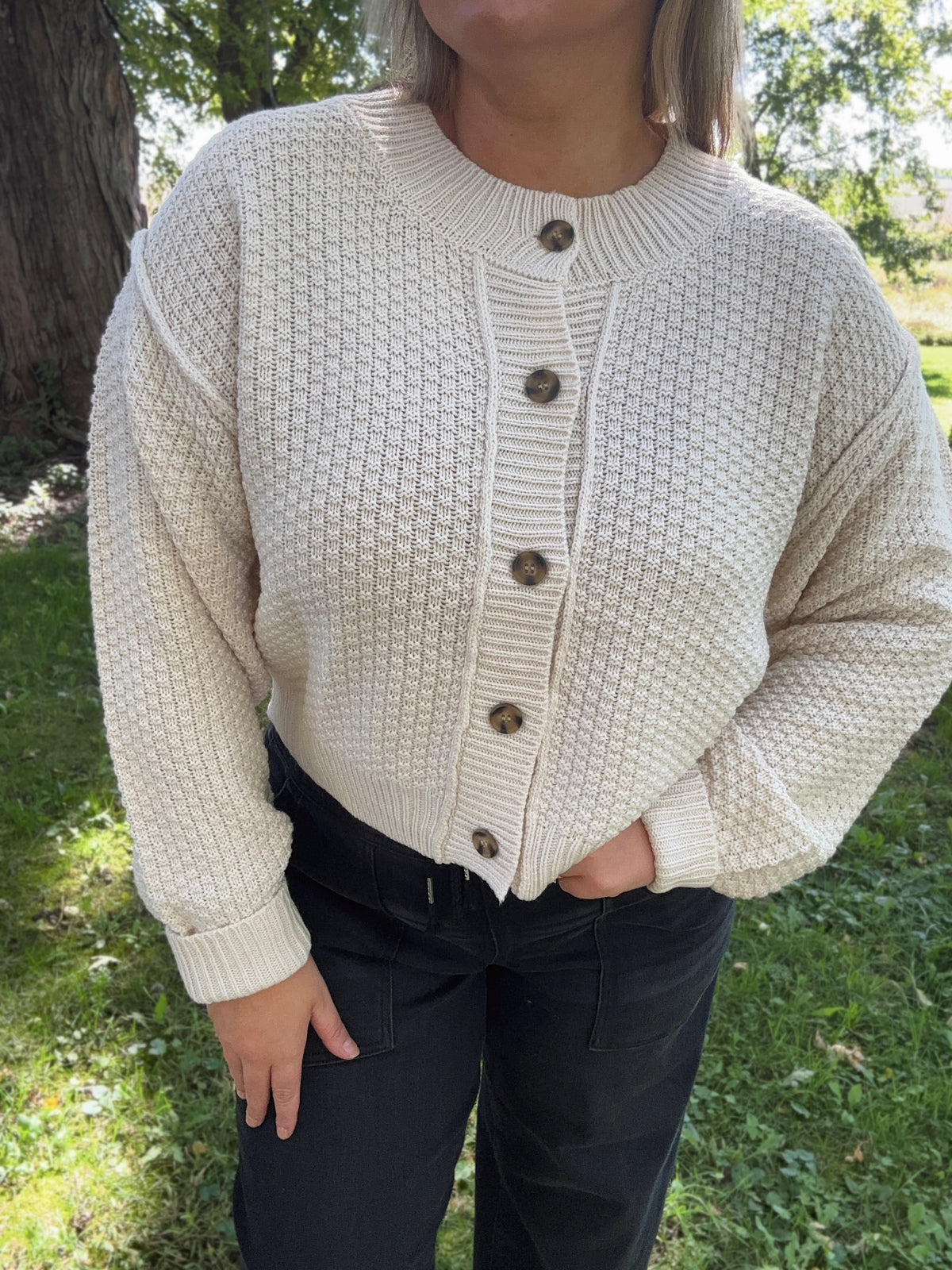 Sweet Cream Knit