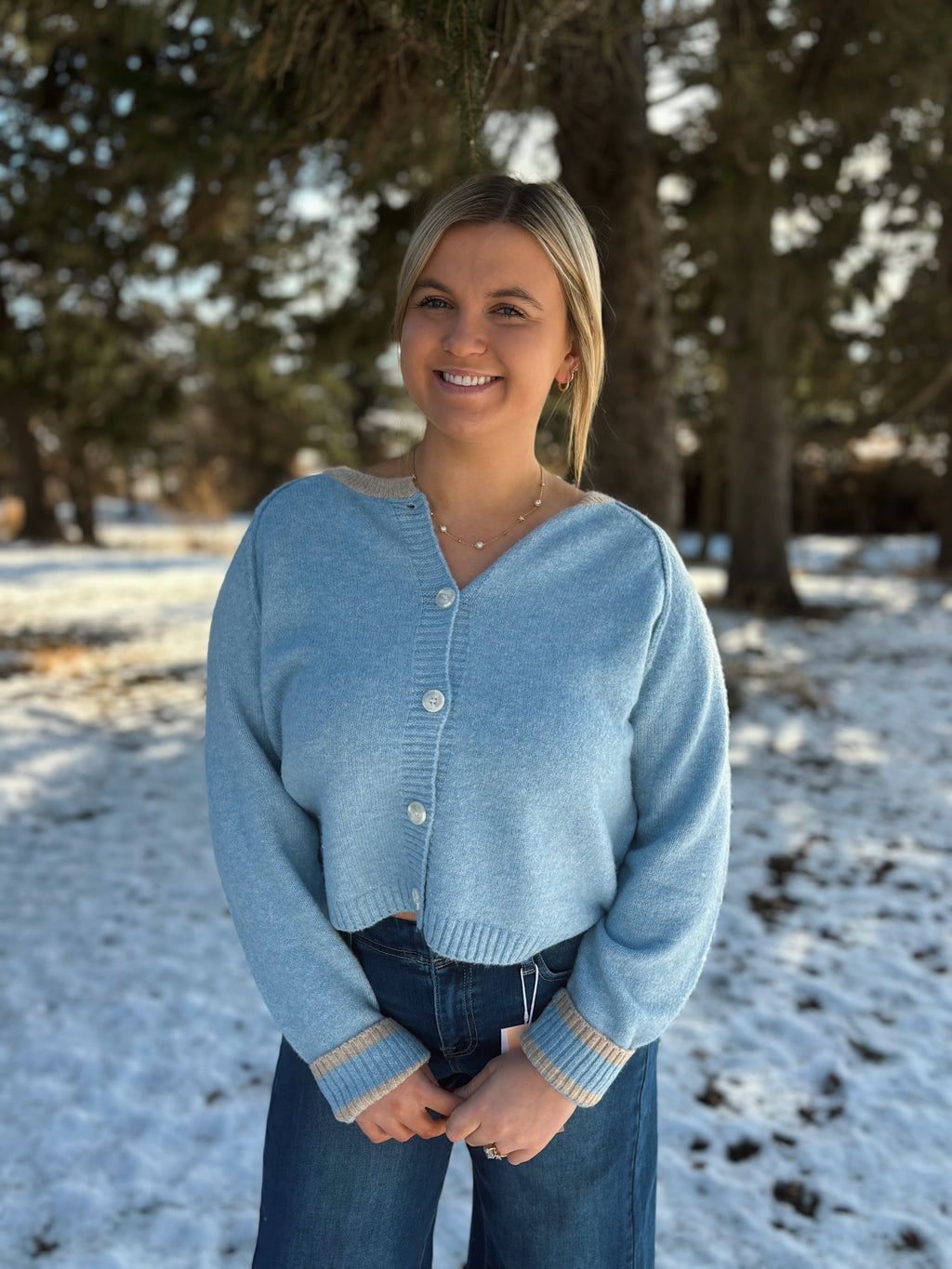 Blueberry Taupe Button Knit Sweater