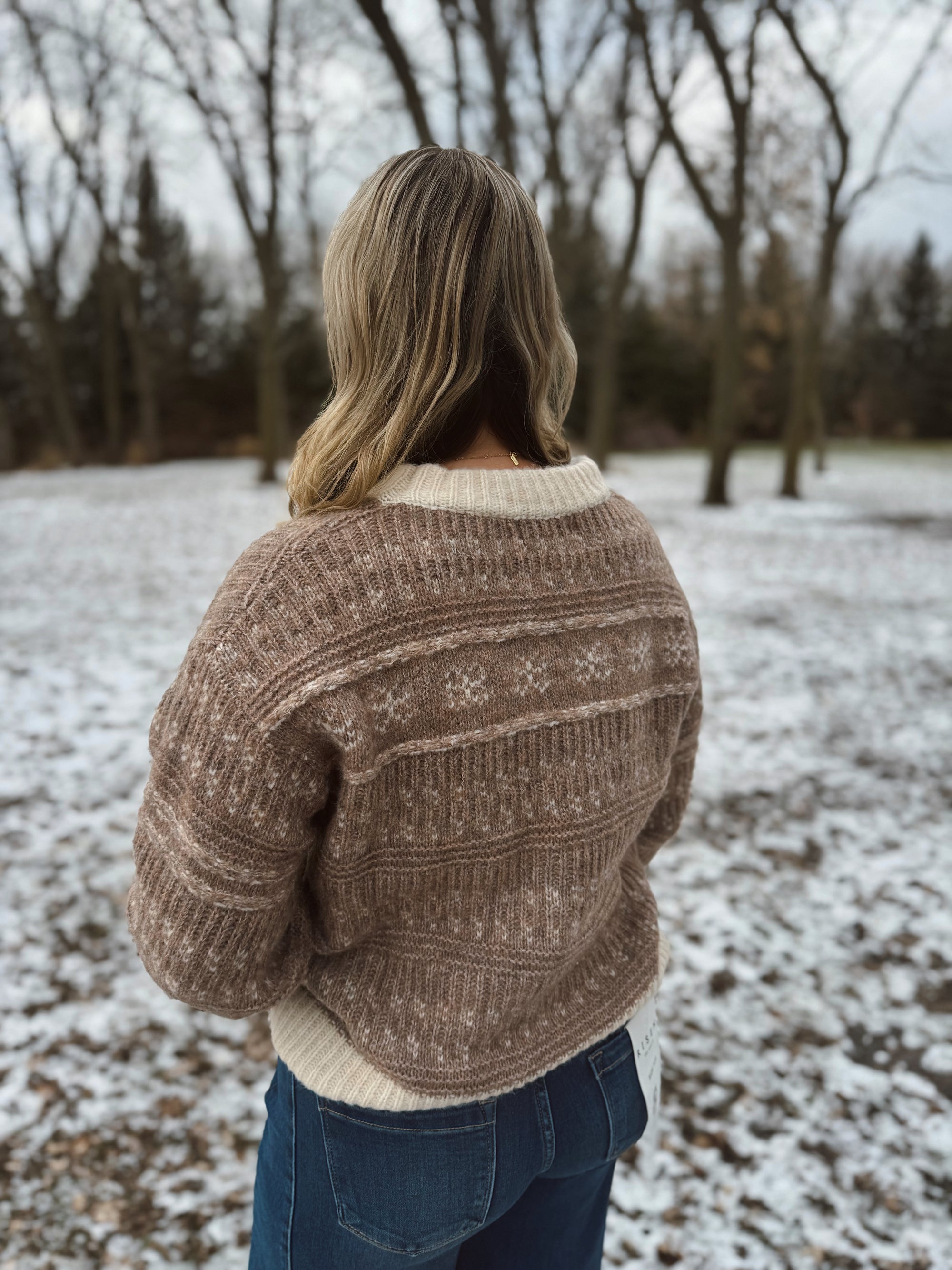 Frosted Taupe Fair Isle Knit Sweater