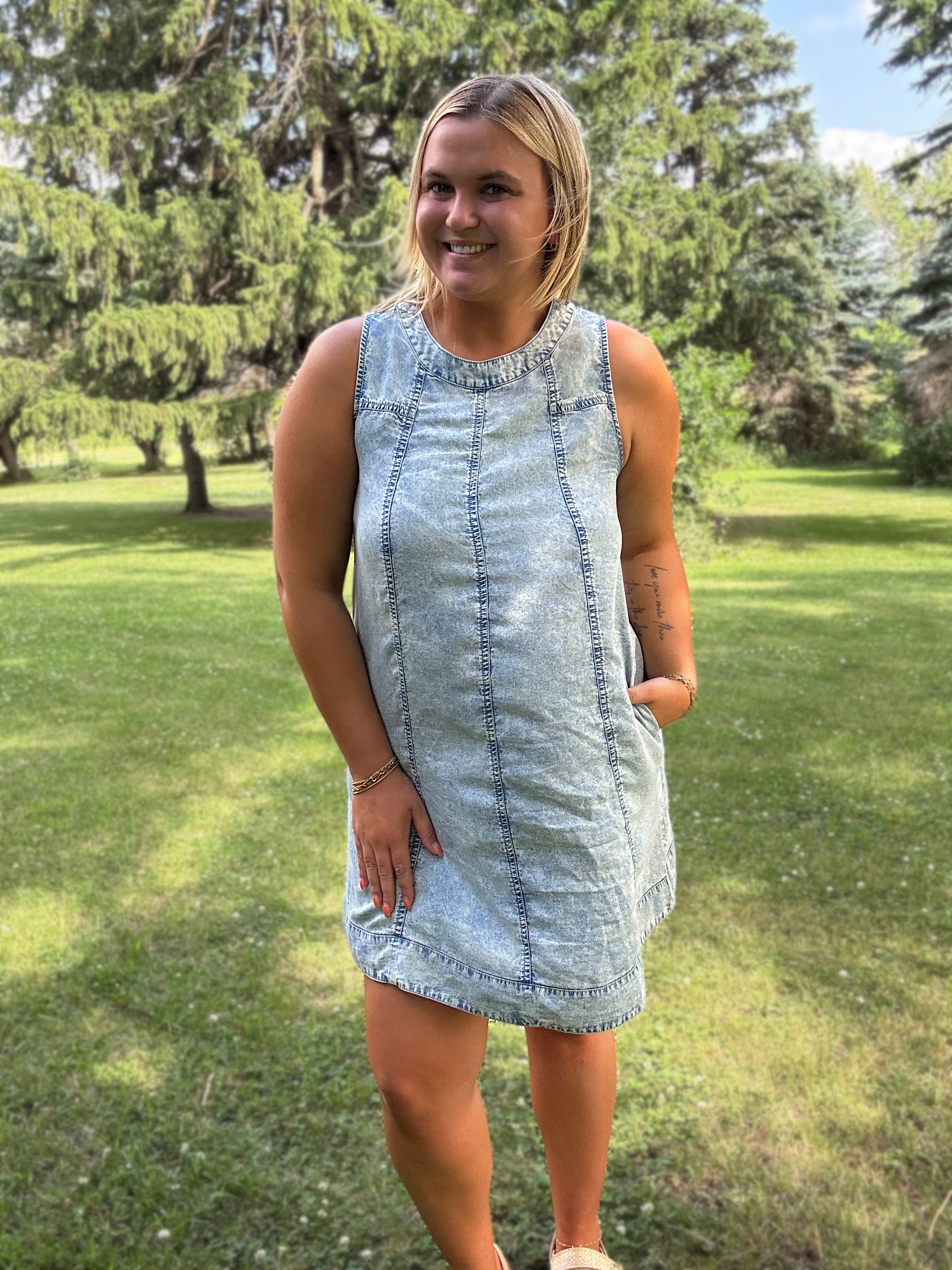 Chambray Charm Dress
