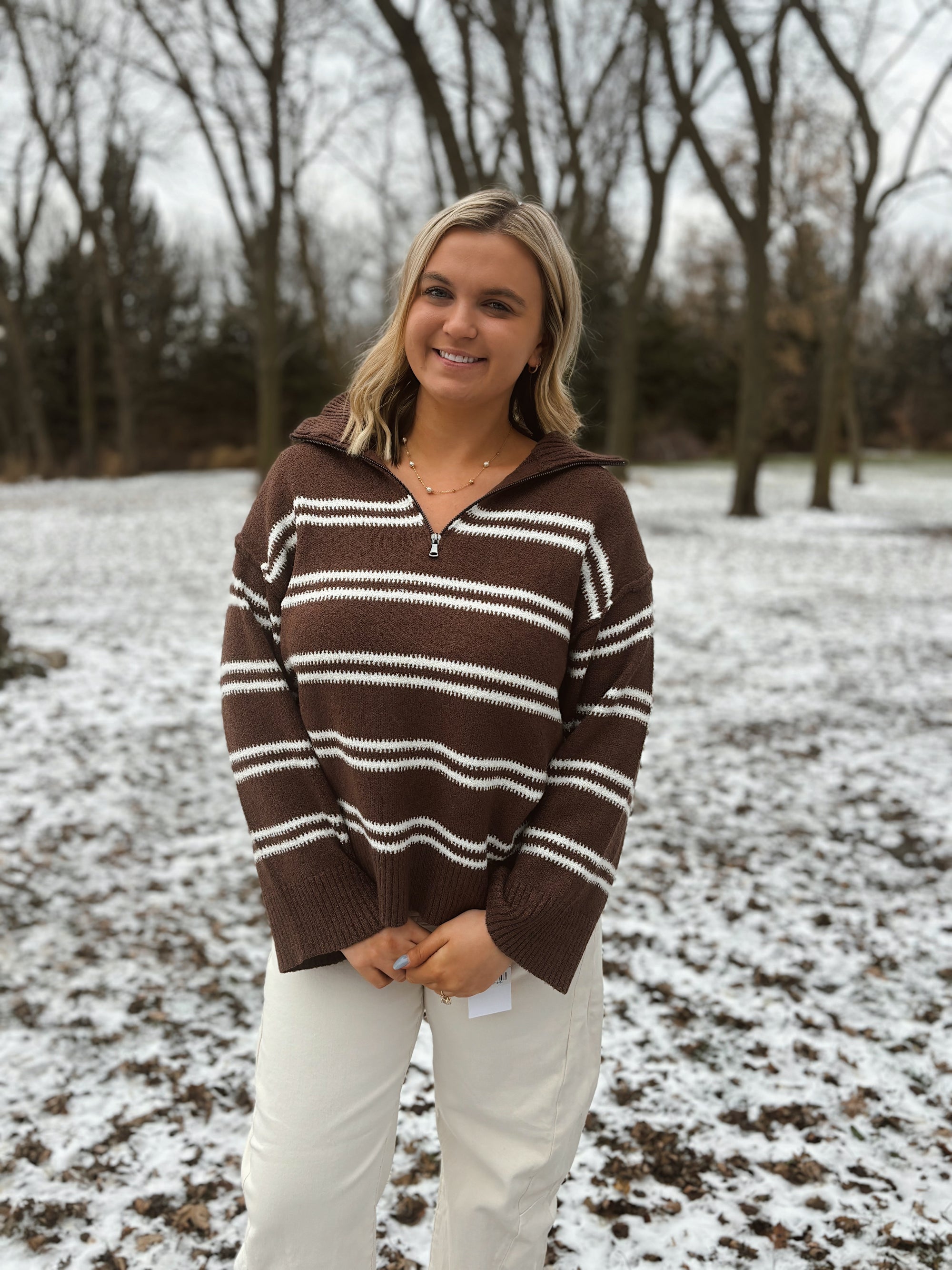 Morning Brew Stripe Zip