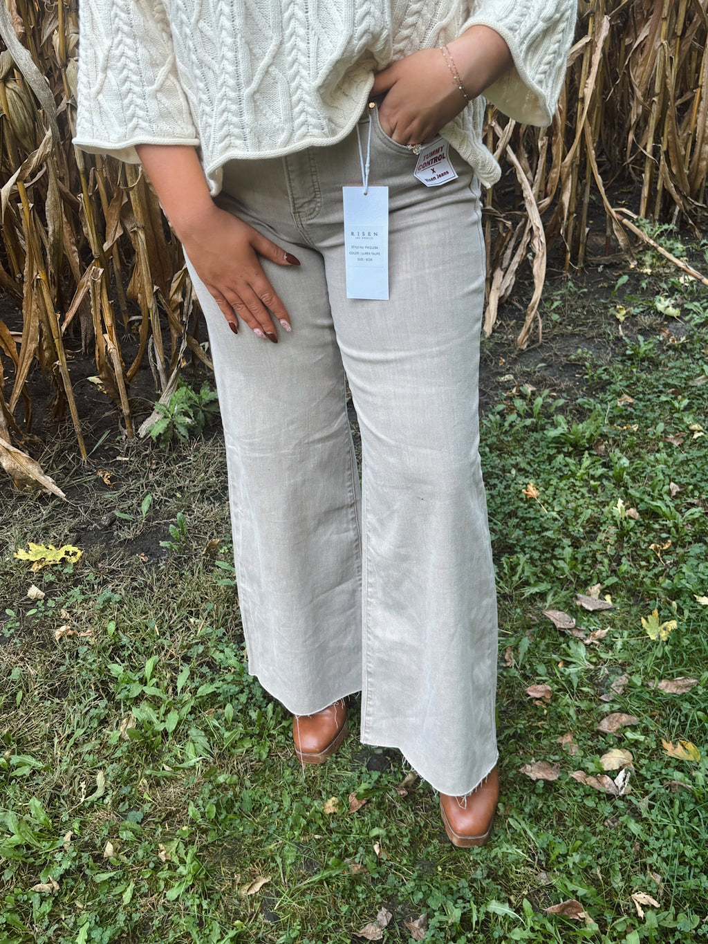 Risen High Rise Tummy Control Lurex Taupe Palazzo Pants