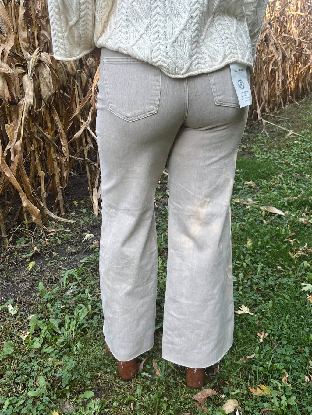 Risen High Rise Tummy Control Lurex Taupe Palazzo Pants