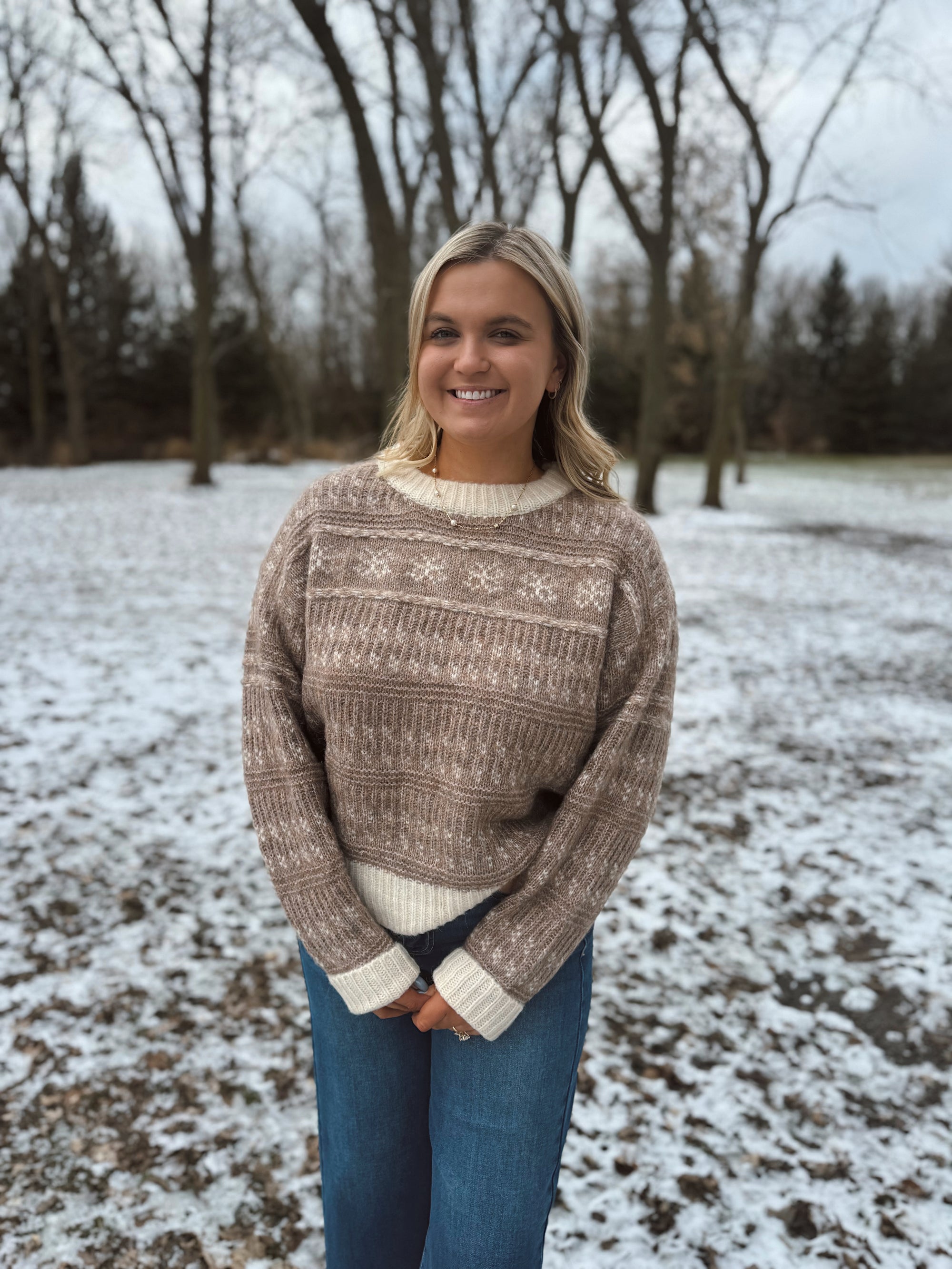 Frosted Taupe Fair Isle Knit Sweater