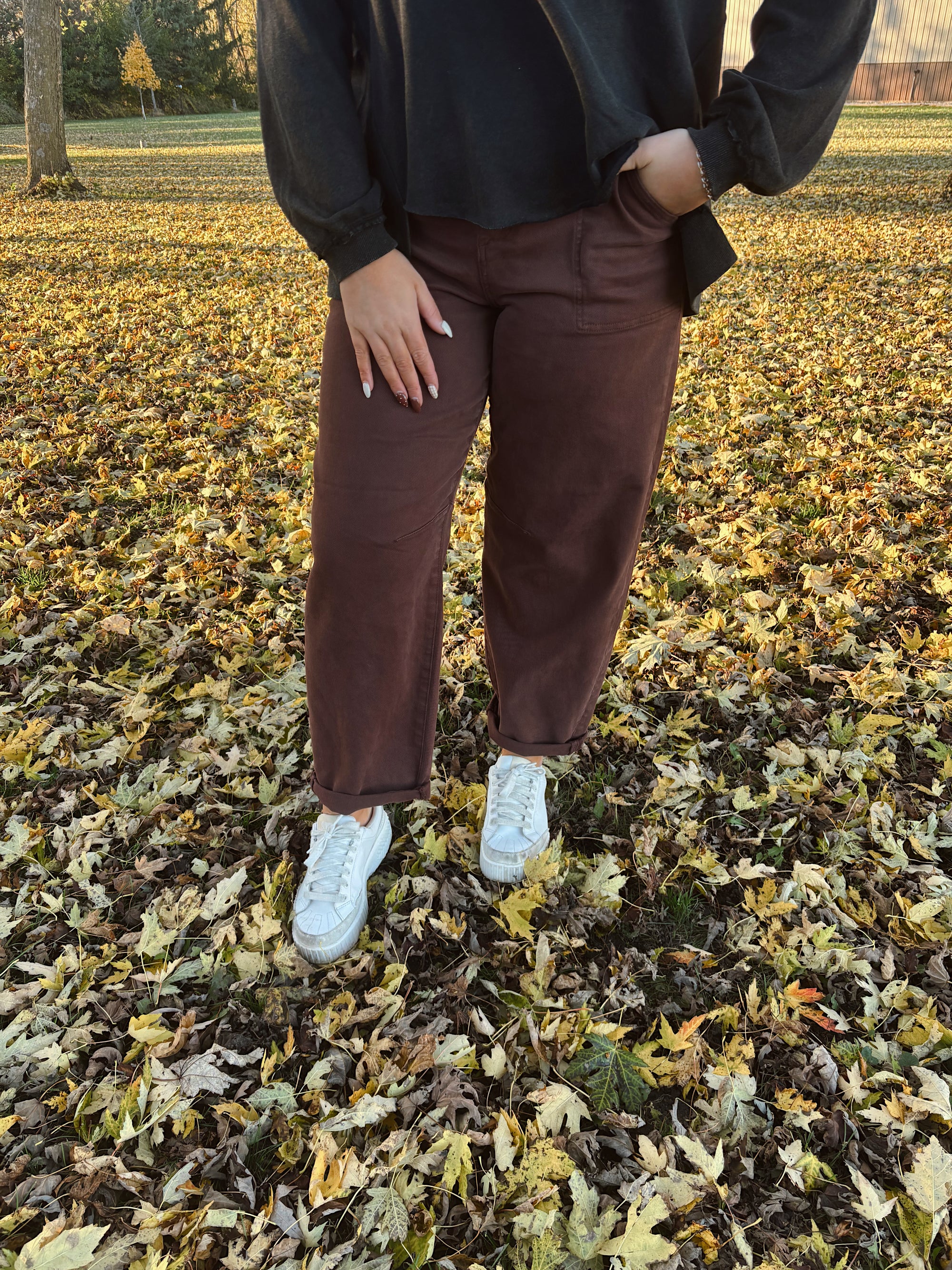 Risen Choco Brown High Rise Barrel Jeans